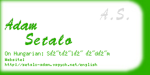adam setalo business card